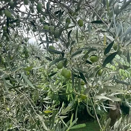 Torre Dantona Country בית כפרי פוצאלו